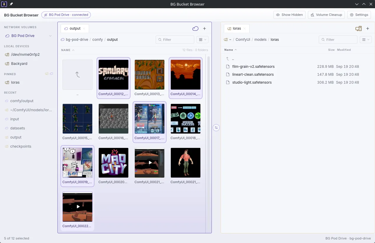 Two panes side by side: five of twelve images selected in a volume folder shown as icons, a local models folder listed on the right